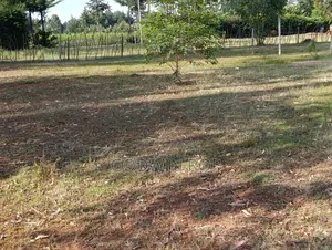 1⁄4 Plot for Sale in Kipkorgot, Eldoret.