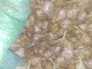 Large Garlic