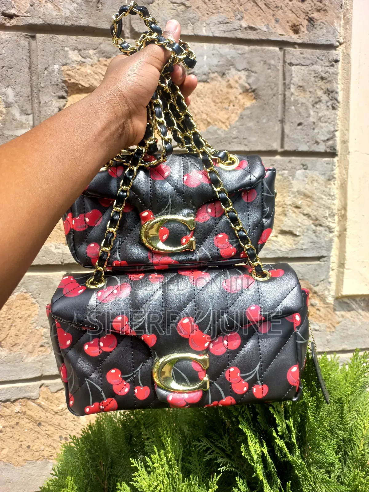 Classy Women Handbags