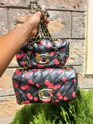 Classy Women Handbags