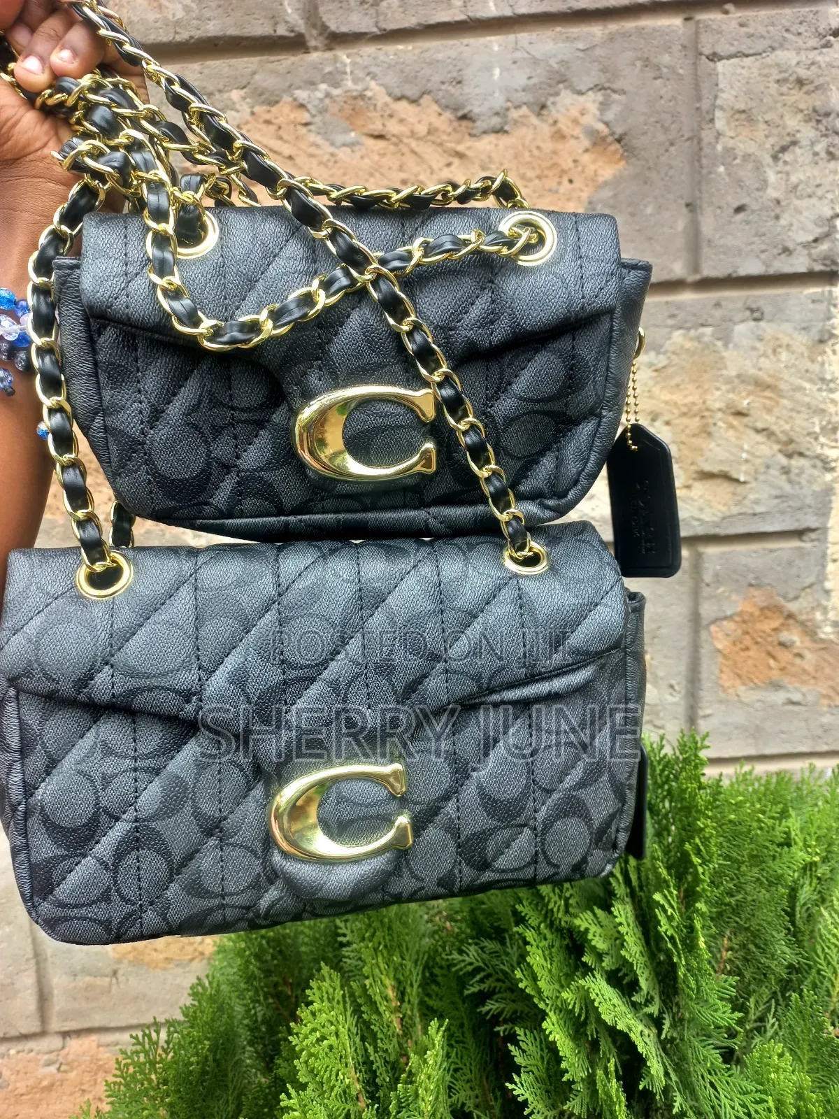 Classy Women Handbags