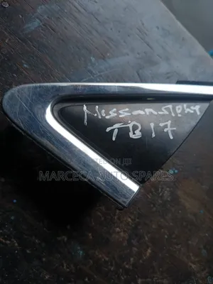 Side Mirror Finisher Nissan Slphy Tb17.