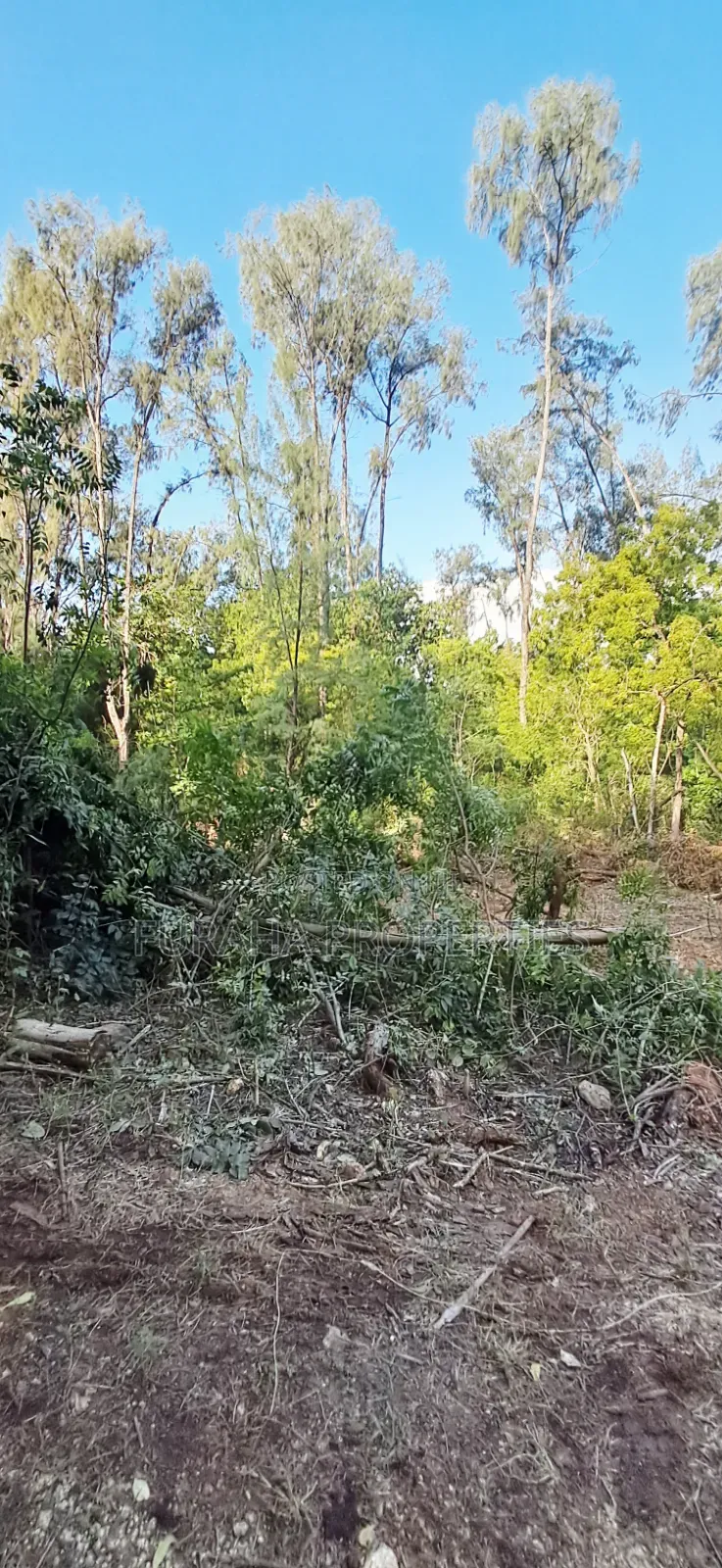 For Sale 1 Acres Several Plots Mombasa