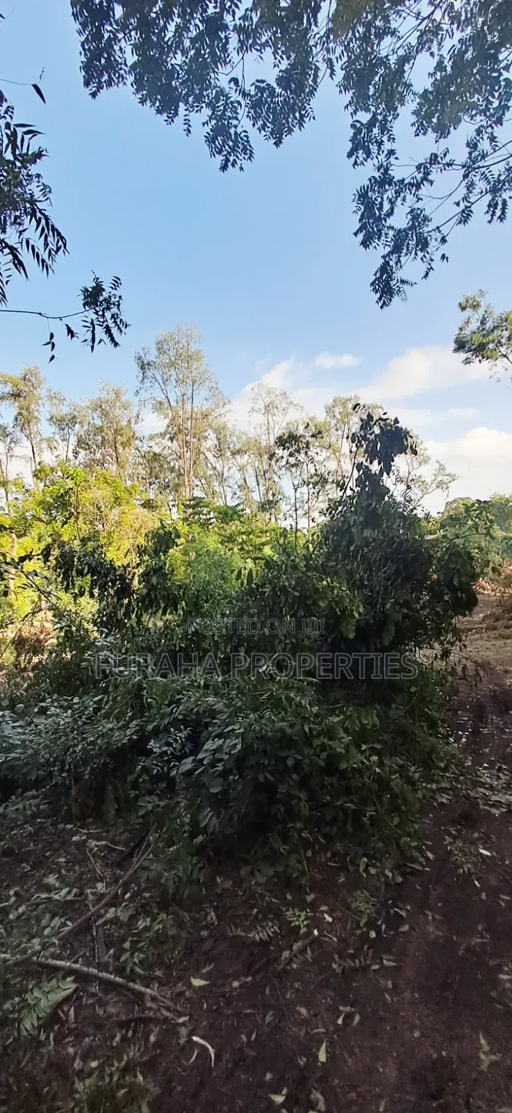 For Sale 1 Acres Several Plots Mombasa