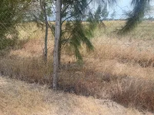 Land for Sell