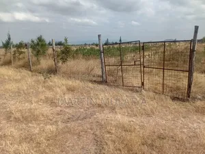 Land for Sell