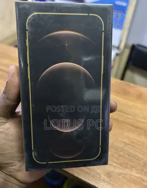 New Apple iPhone 12 Pro 256 GB Gray
