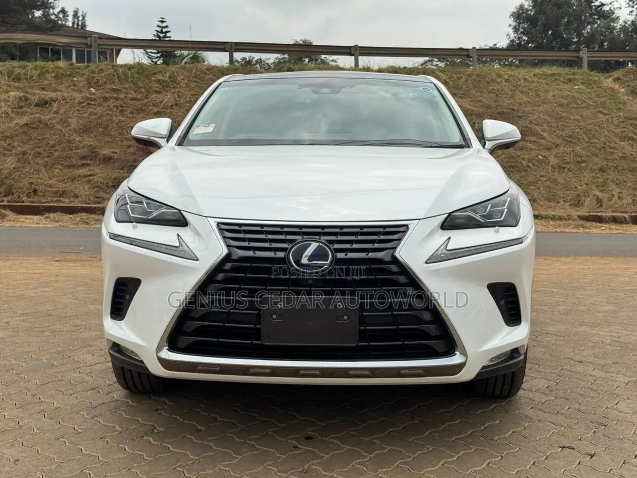 Lexus NX 2019