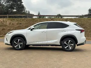 Lexus NX 2019