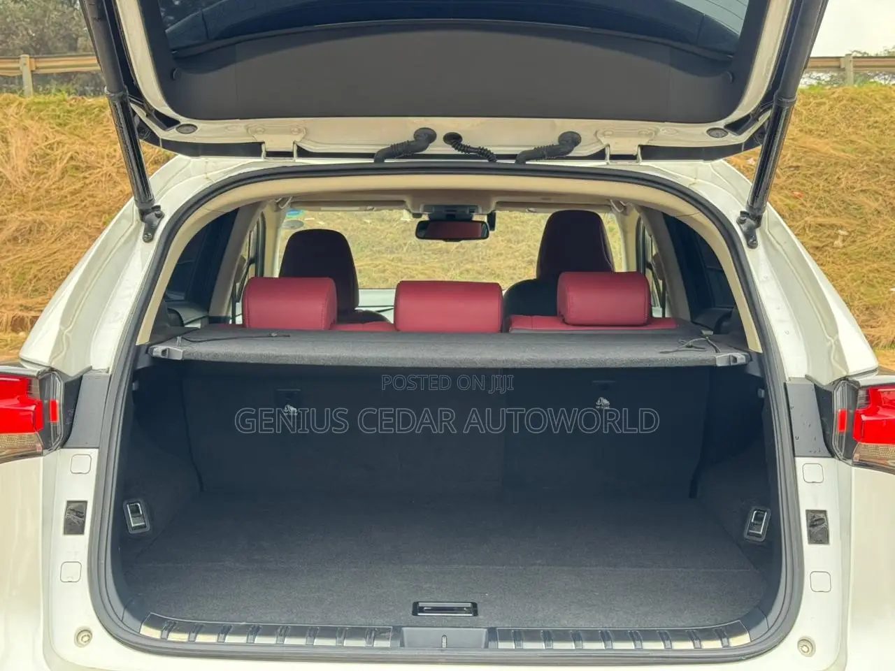 Lexus NX 2019