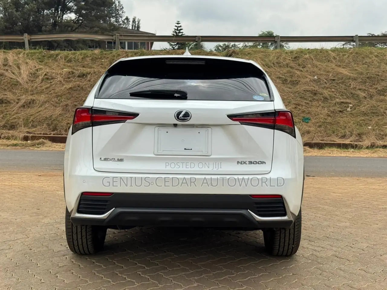 Lexus NX 2019