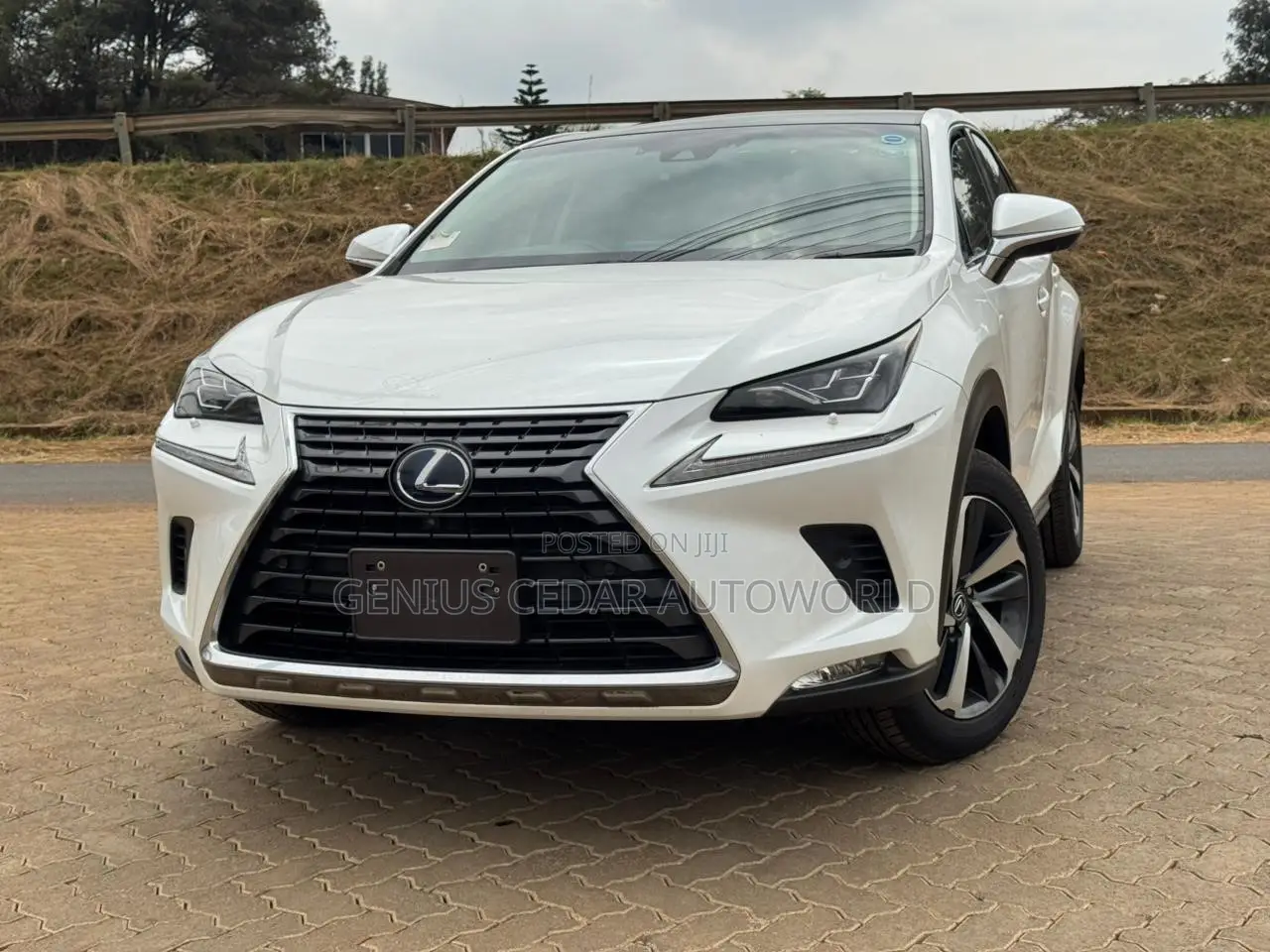 Lexus NX 2019