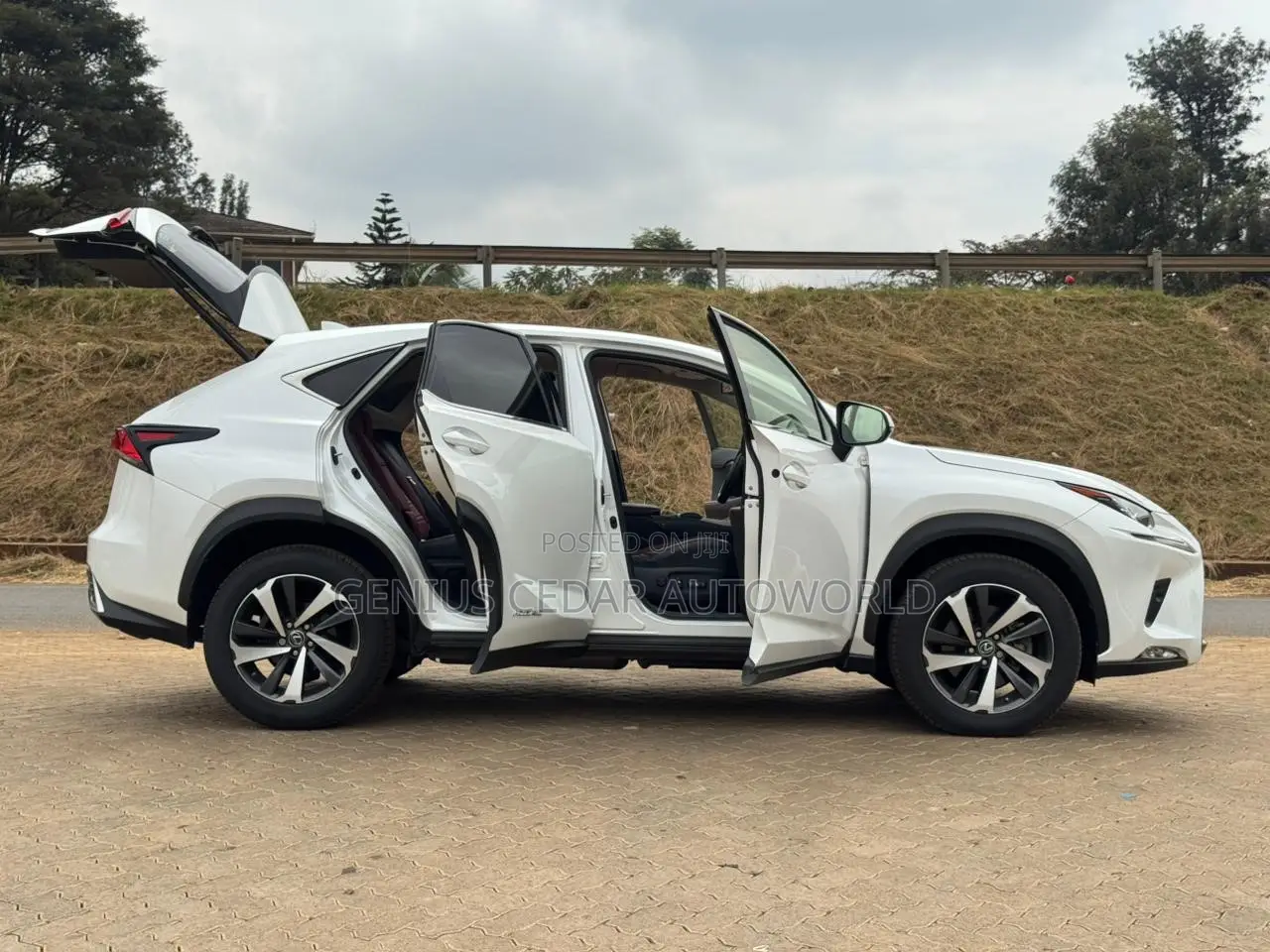 Lexus NX 2019