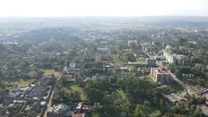 1/4 Acre Pieces Olepos at 11m