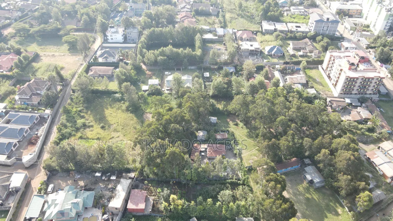 1/4 Acre Pieces Olepos at 11m