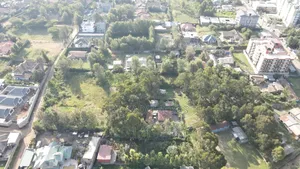 1/4 Acre Pieces Olepos at 11m