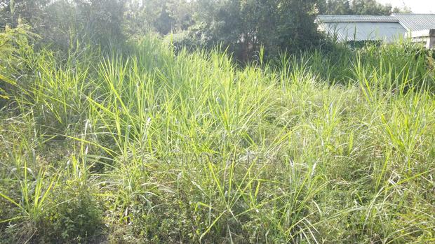 1/4 Acre Pieces Olepos at 11m - thumbnail 4