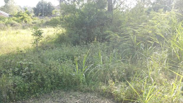 1/4 Acre Pieces Olepos at 11m - thumbnail 5