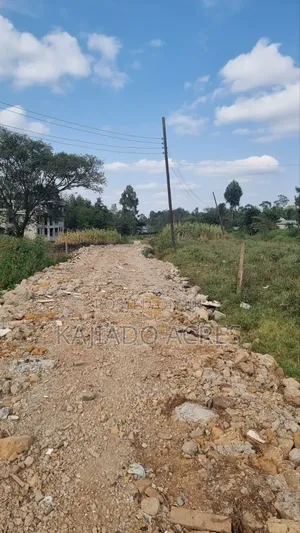 1/8 Pieces Ololua,Off Zambia Road at 4m