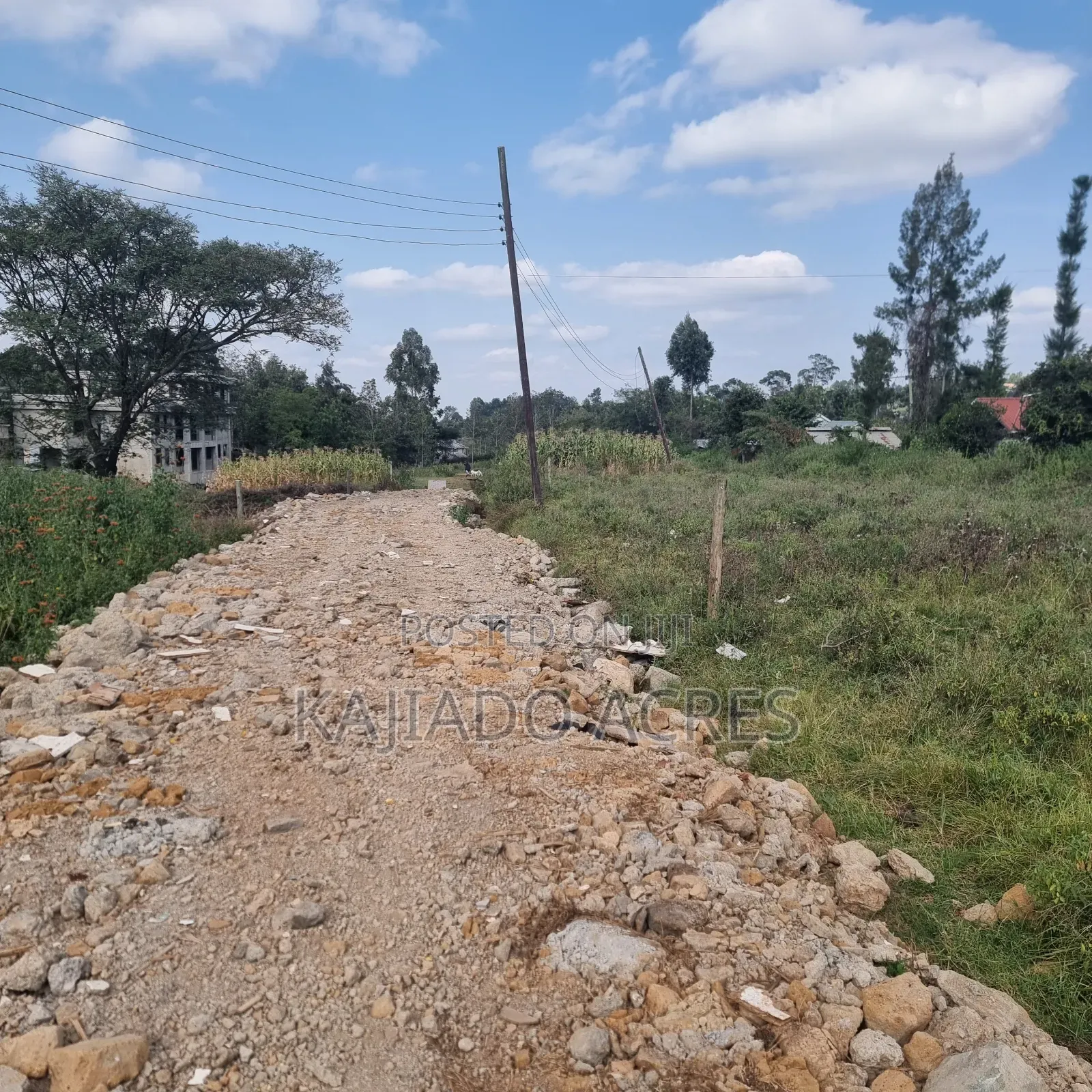 1/8 Pieces Ololua,Off Zambia Road at 4m