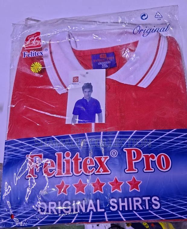 Felix Frank Polo Shirt – Purple Trim All Sizes
