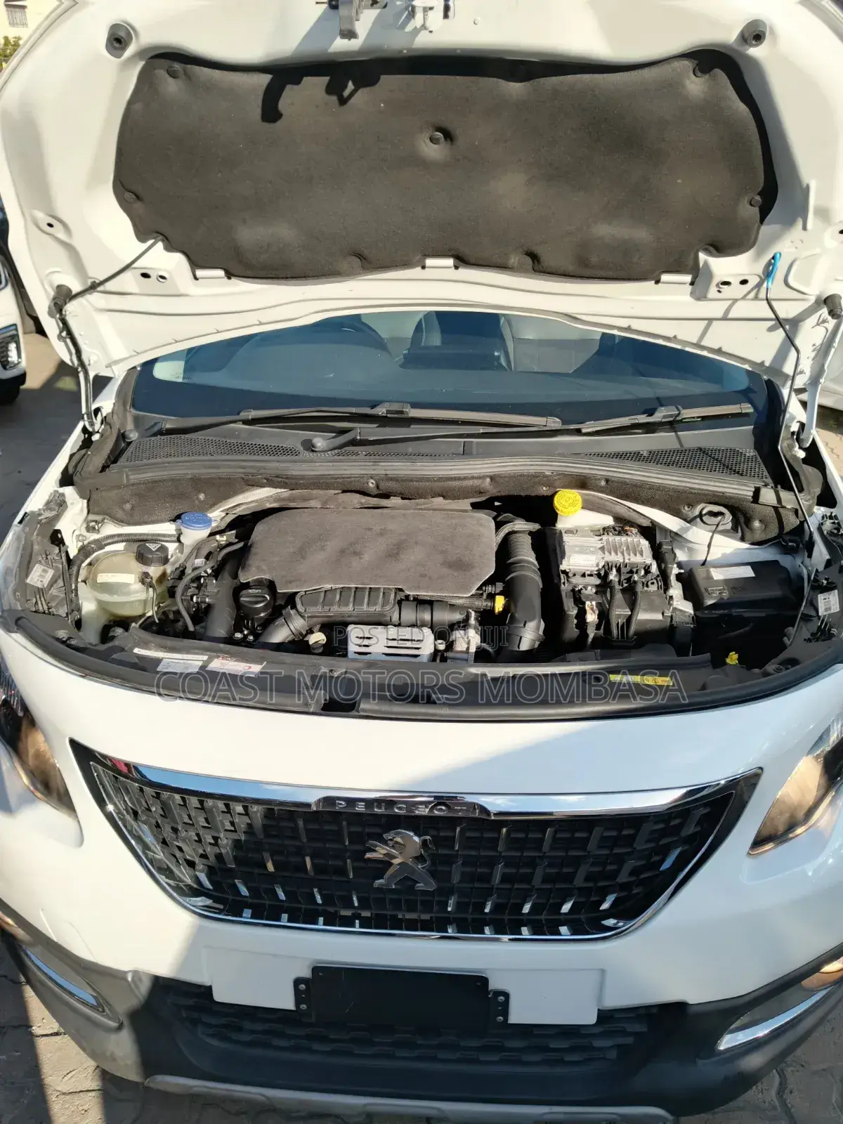 Peugeot 2008 2019 White