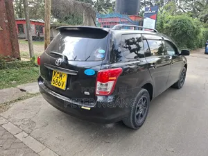 Toyota Corolla Fielder 2010 Black