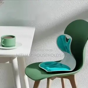 Back Support