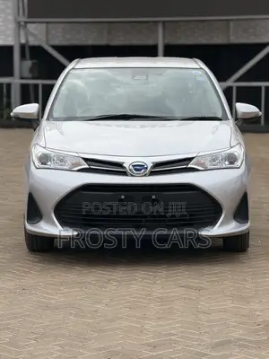 Toyota Axio 1.5 Hybrid G 2WD 2019 Silver