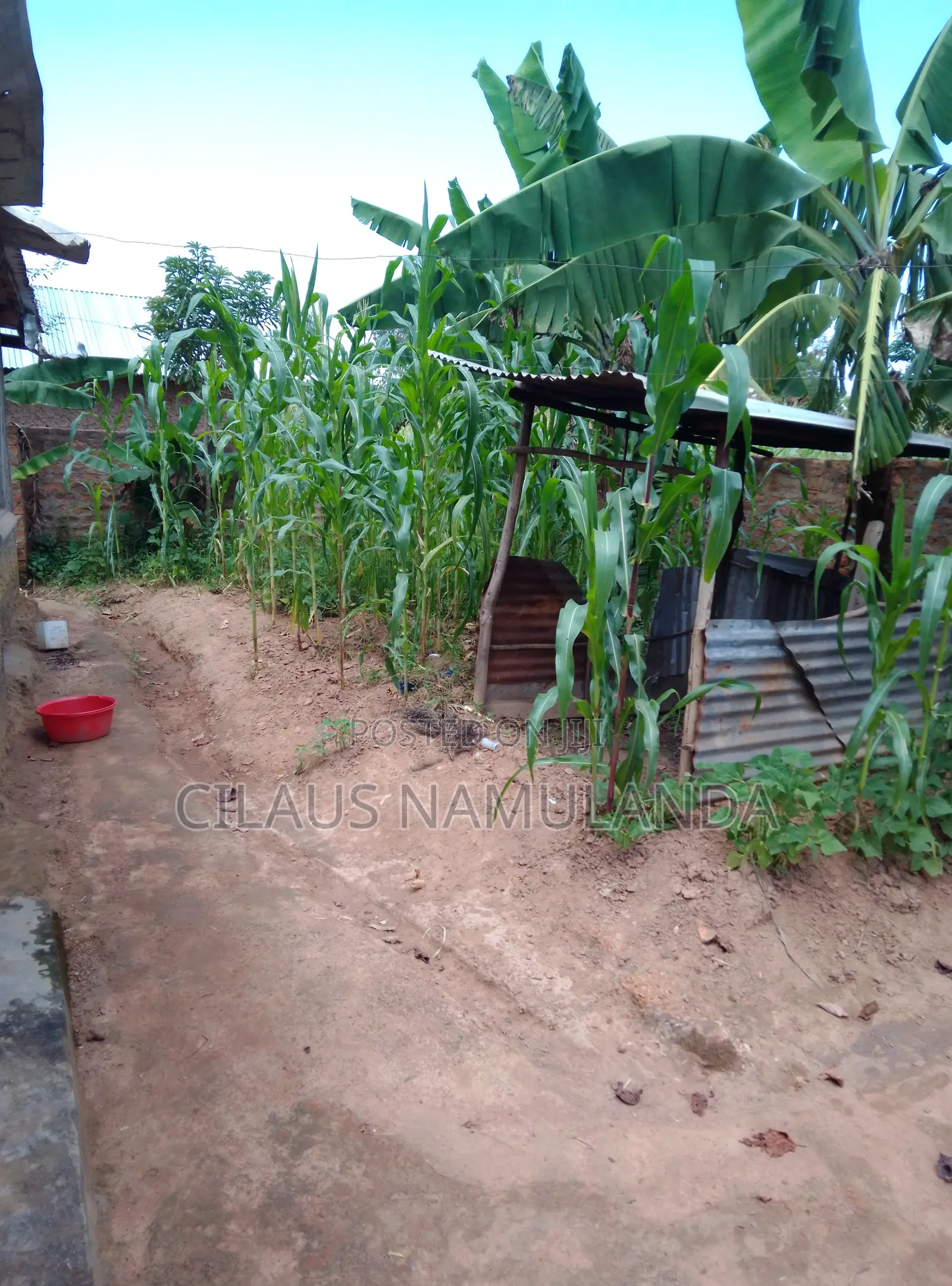 Plot on Sale