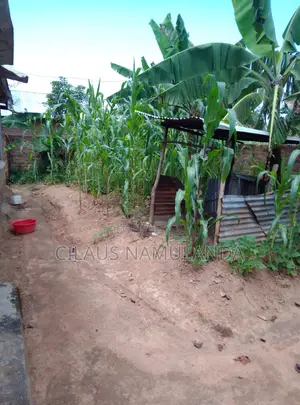 Plot on Sale