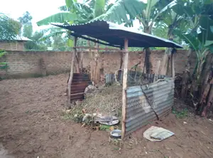 Plot on Sale