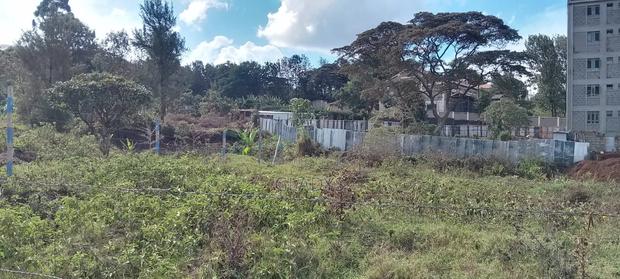 For Sale 1/4 for Sale /Leasing Opt 4kms From. Ngong Town