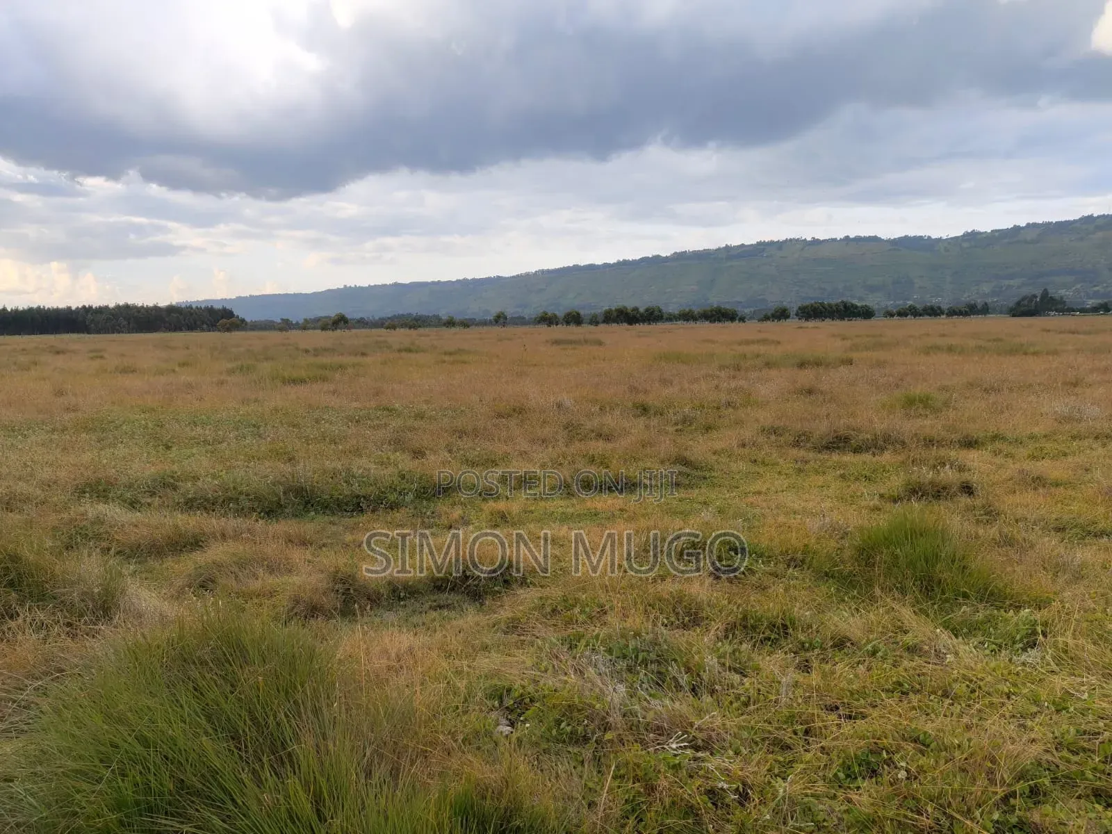 Olkalou Kariamu Prime 82 Acres Kirima Scheme