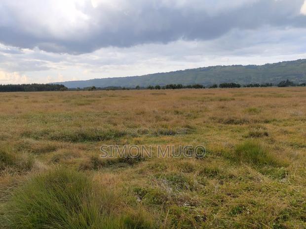 Olkalou Kariamu Prime 82 Acres Kirima Scheme