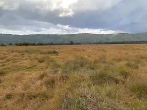 Olkalou Kariamu Prime 82 Acres Kirima Scheme
