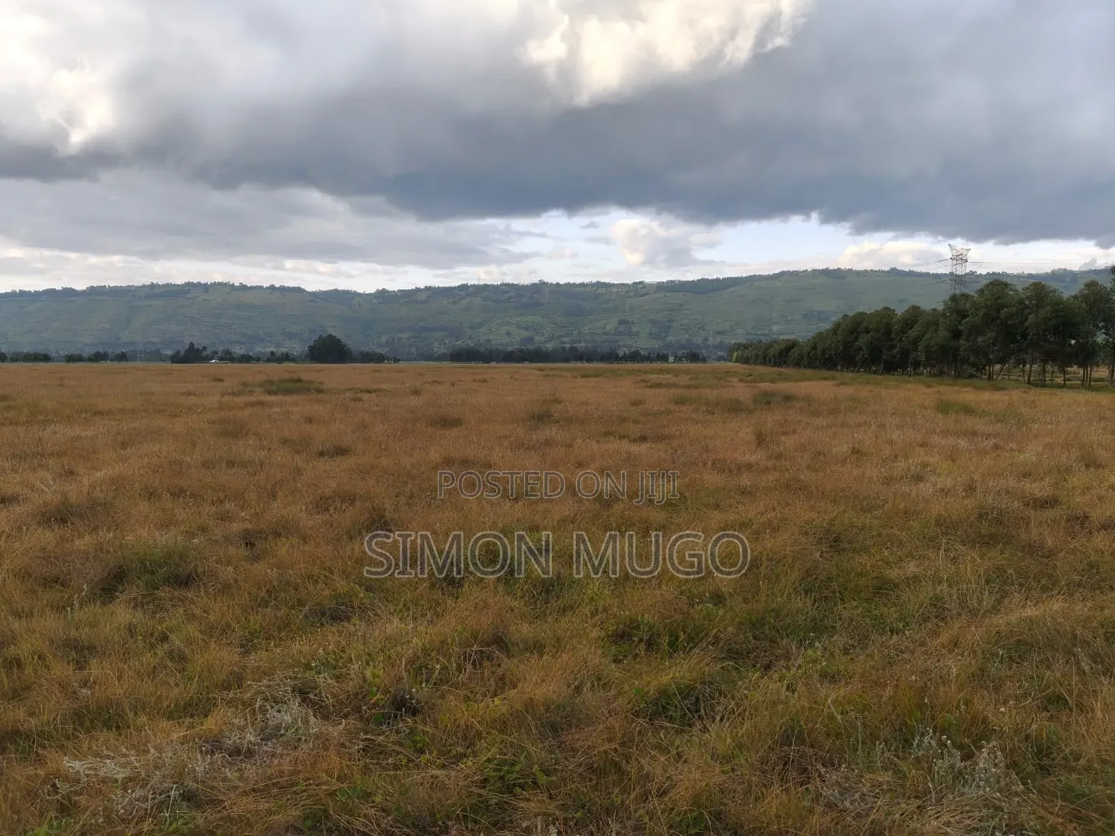 Olkalou Kariamu Prime 82 Acres Kirima Scheme