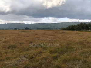 Olkalou Kariamu Prime 82 Acres Kirima Scheme