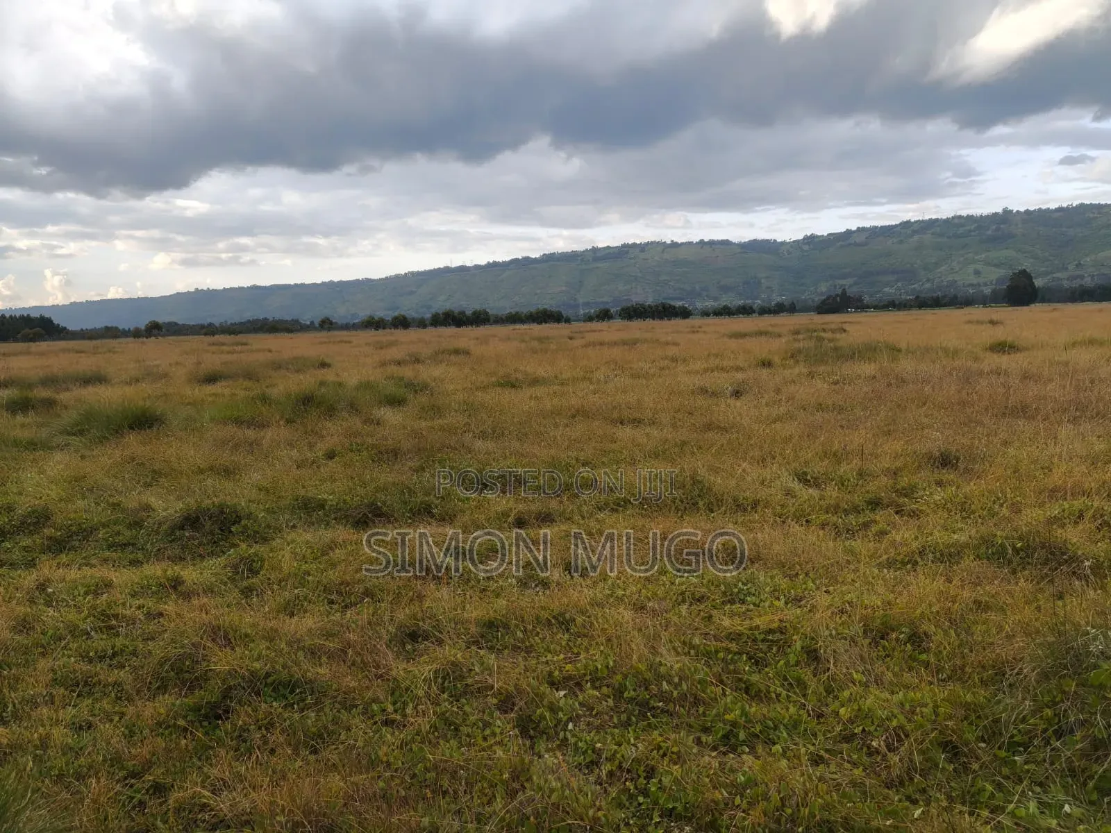 Olkalou Kariamu Prime 82 Acres Kirima Scheme