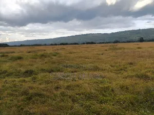 Olkalou Kariamu Prime 82 Acres Kirima Scheme