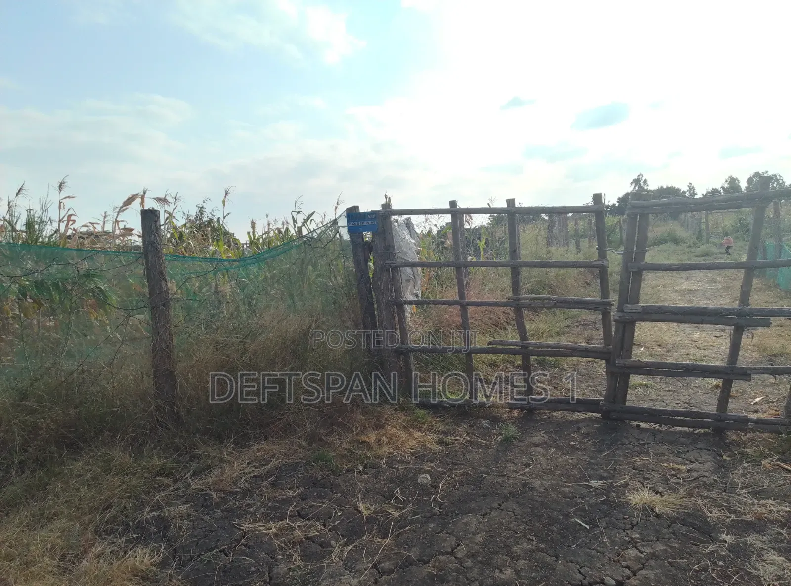 1acre Land Selling at Koma