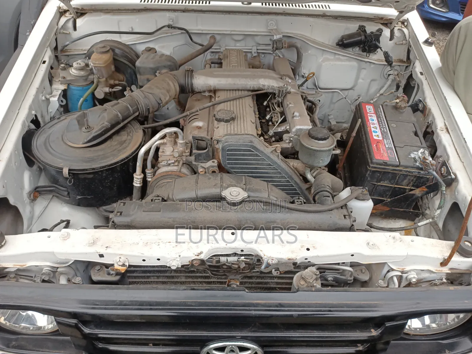 Toyota Land Cruiser 2006 White