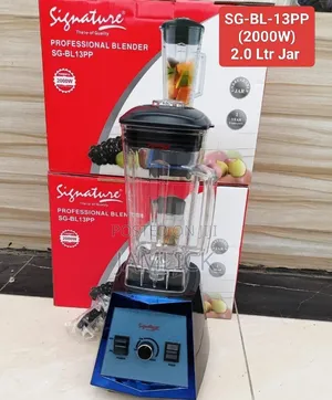 2000w Commercial Blender (Sg-Bl-13pp) – Jf