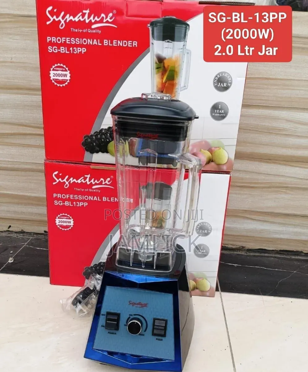 2000w Commercial Blender (Sg-Bl-13pp) – Jf