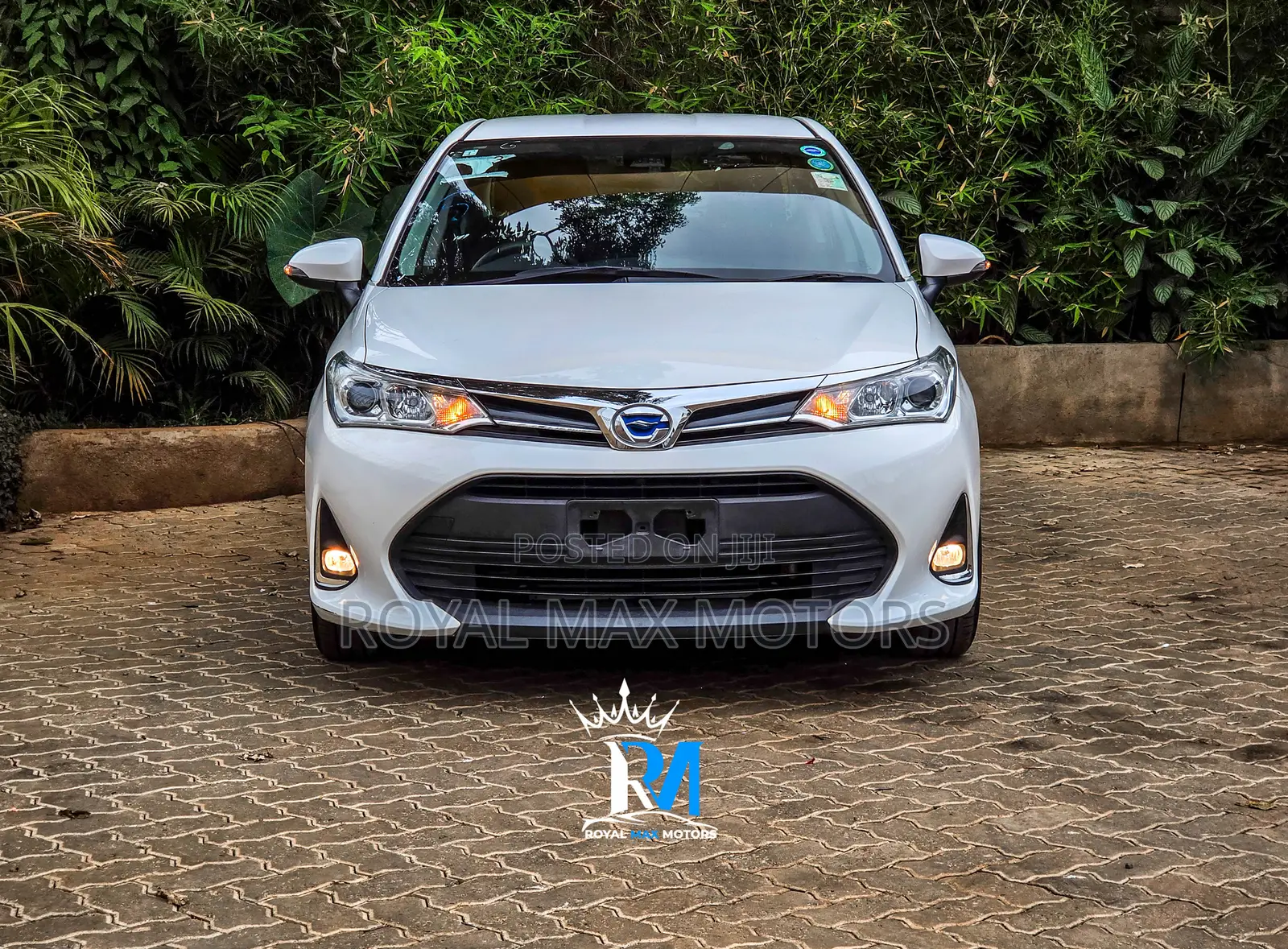Toyota Axio 2019 White