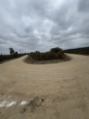 50*100 Plots Oloiren