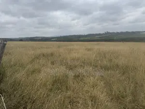 50*100 Plots Oloiren