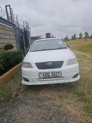 Toyota Allex 2004 White