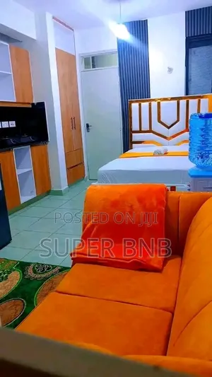 Furnished Apartments  in TRM Drive and Mirema +Zimmerman (Roysambu)