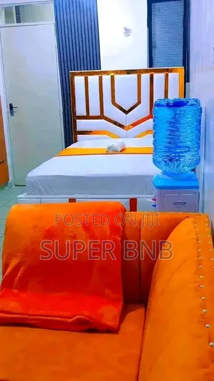 Furnished Apartments  in TRM Drive and Mirema +Zimmerman (Roysambu)